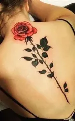 arshi escorts in delhi image 5